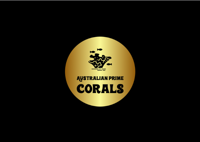Australian Prime Corals